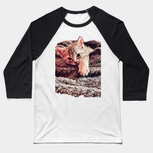 Kitten cuteness Baseball T-Shirt